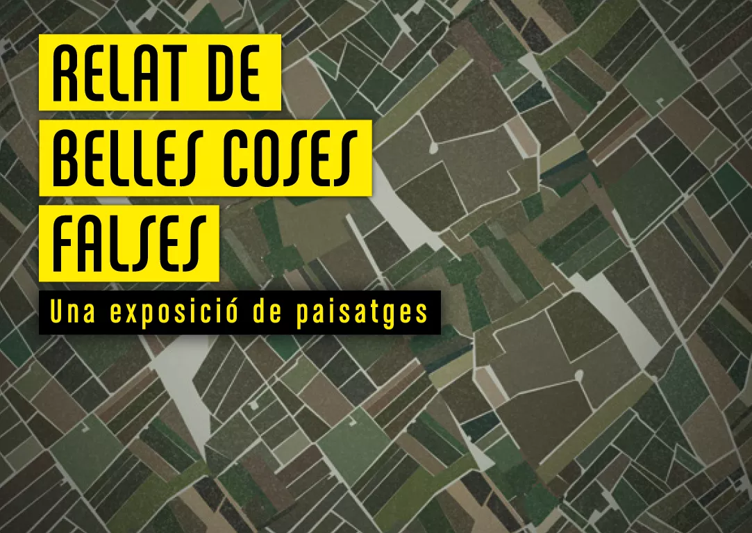 Relat de Belles Coses Falses (NP)