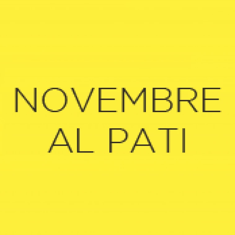 Programació: novembre al Pati