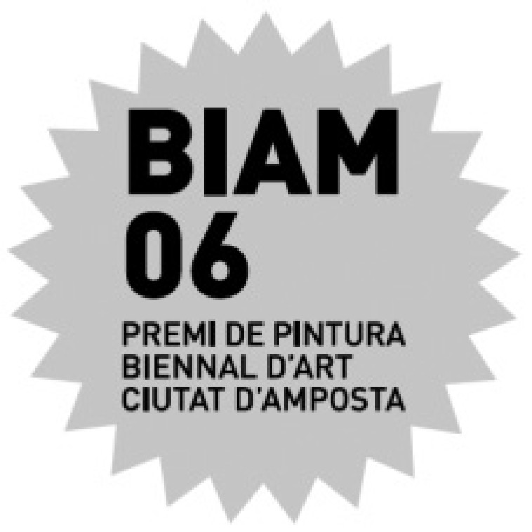 BIAM 2006. “Premio Bienal de Arte Ciudad de Amposta 2006”