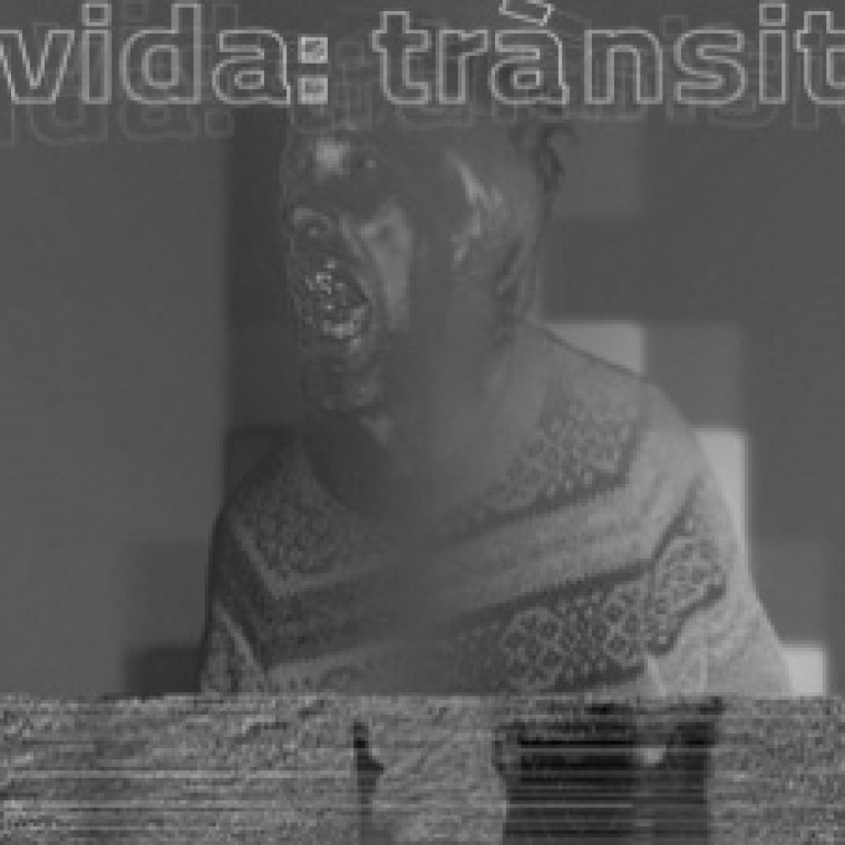 “Vida: Trànsit”. VI Festival de Vídeo y Arte Digital. Strobe 2010